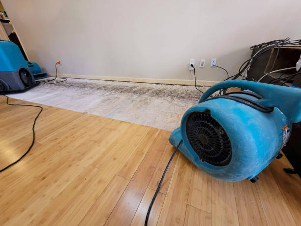 Professional Water Damage Repair technician working in Jerry City, OH